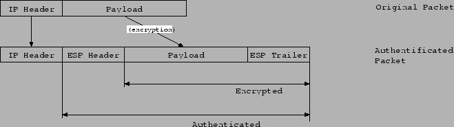 \begin{figure}\begin{figure}\centerline{\epsffile{NBS_IPv6_Report_A_IPsecE.eps}
}\end{figure}\par\end{figure}